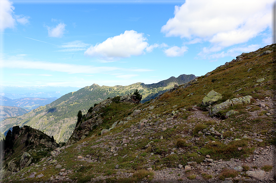 foto Forcella Pala del Becco